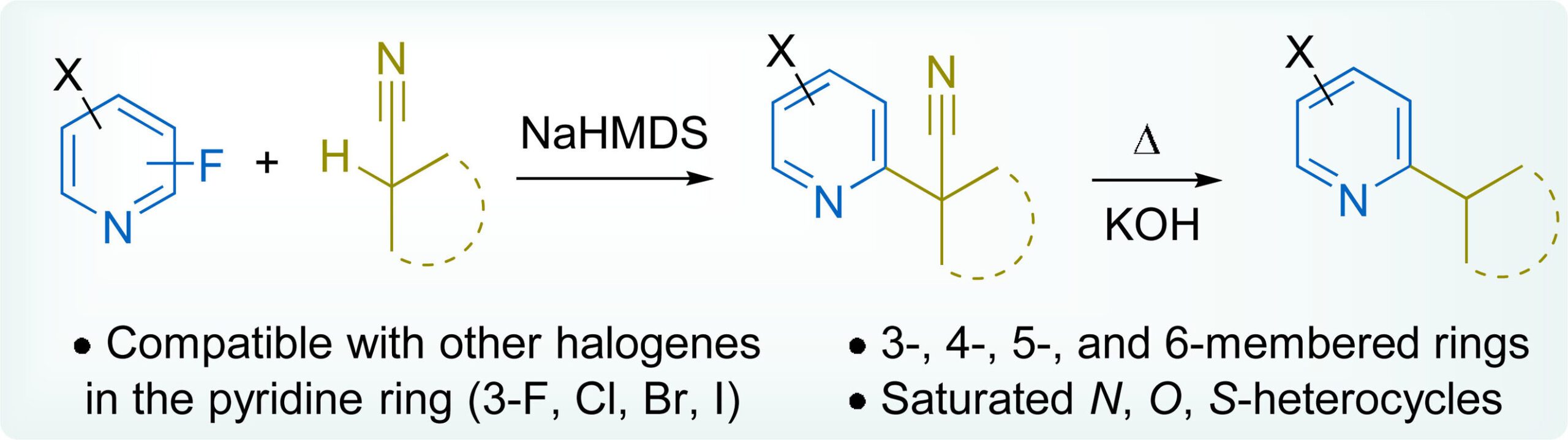 Multigram synthesis of α- and γ-((hetera)cyclo)alkyl­pyridines via α-arylation of (hetero)aliphatic nitriles