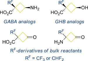 Synthesis of 1,3-bifunctional cyclobutane derivatives with α-CHF2/CF3 group – advanced building blocks for medicinal chemistry