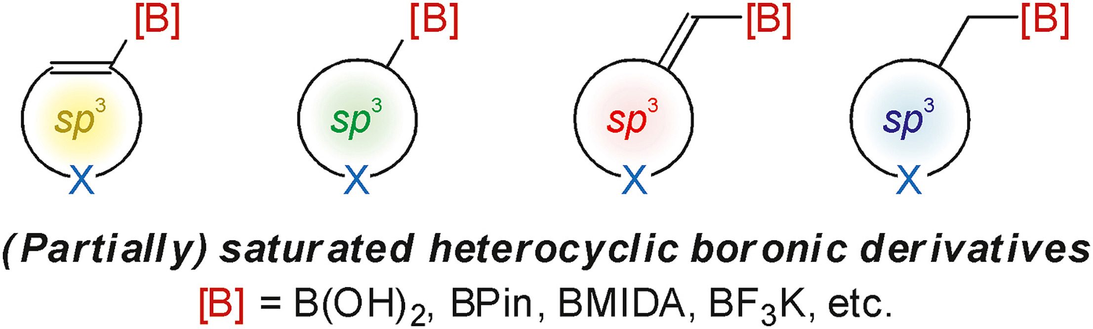 Synthesis of saturated and partially saturated heterocyclic boronic derivatives