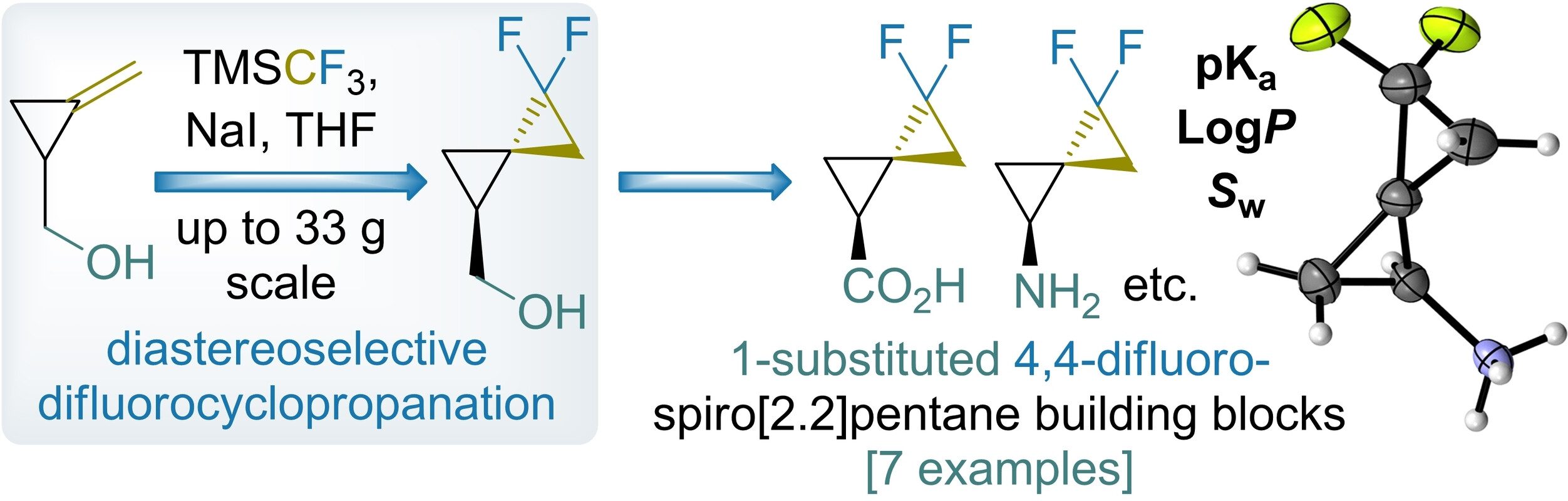 4,4-Difluorospiro[2.2]pentan-1-yl – a fluorinated substituent to expand the synthetic and medicinal chemists’ toolbox