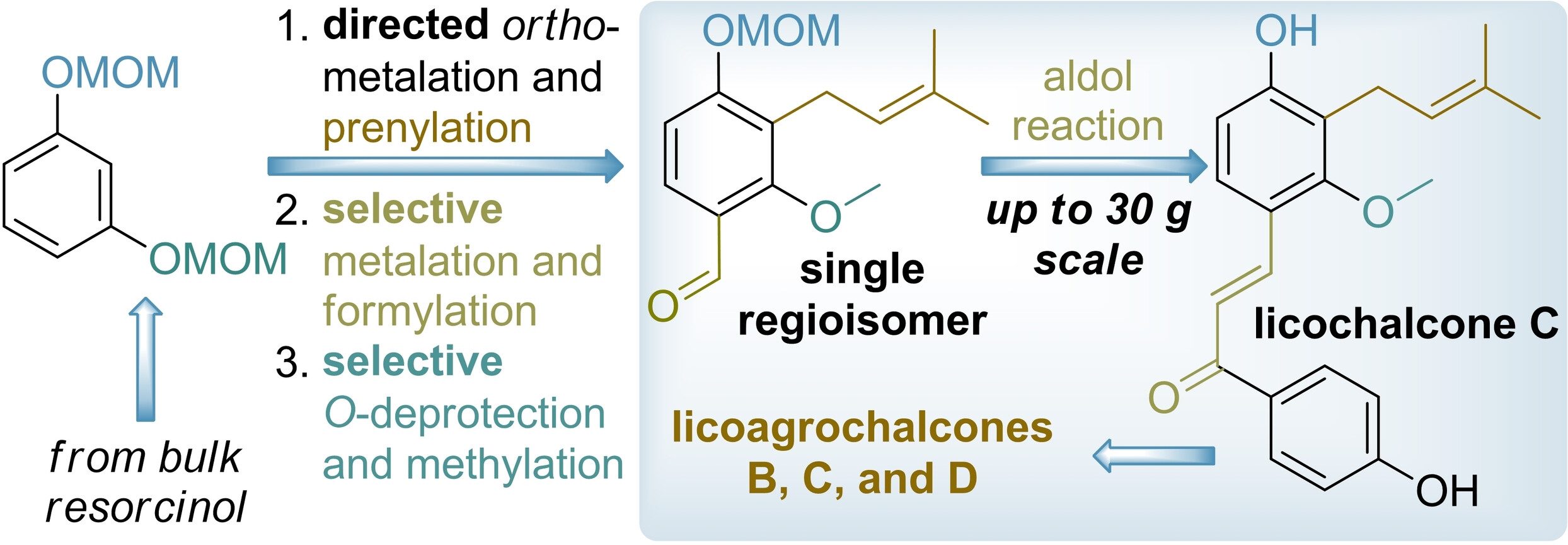 Regioselective and scalable total synthesis of licochalcone C and related licoagrochalcones