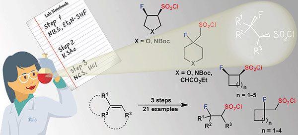 Synthesis of sp3-Enriched β-Fluoro Sulfonyl Chlorides
