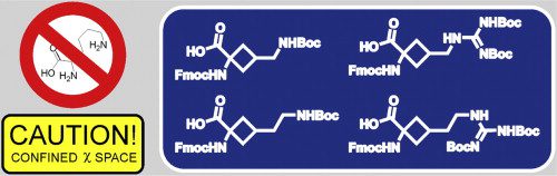 Confining the χ space of basic natural amino acids: cyclobutane-derived χ1,χ2-constrained analogues of arginine, lysine and ornithine
