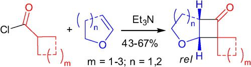 Synthesis of three-dimensional fused and spirocyclic oxygen-containing cyclobutanone derivatives