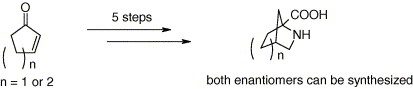 Stereoselective synthesis of 2,4-methanoproline homologues