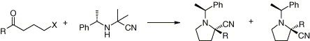 An approach to 2-cyanopyrrolidines bearing a chiral auxiliary