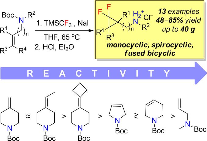 Gram-Scale Synthesis of Amines Bearing a gem-Difluorocyclopropane Moiety