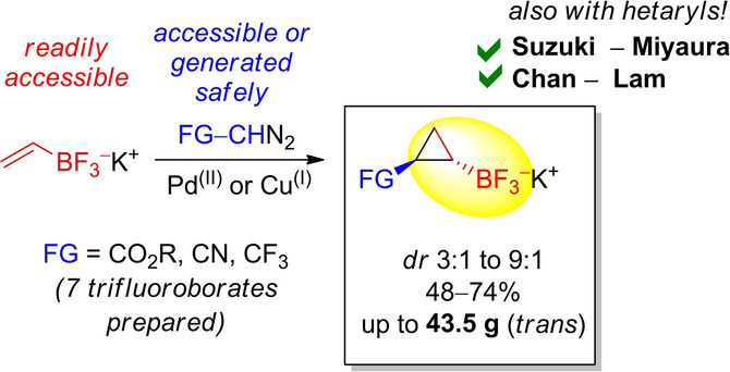 Multigram Synthesis and C−C/C−N Couplings of Functionalized 1,2-Disubstituted Cyclopropyltrifluoroborates