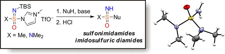 Sulfonimidamides and Imidosulfuric Diamides: Compounds from an Underexplored Part of Biologically Relevant Chemical Space