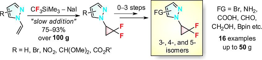 N-Difluorocyclopropyl-Substituted Pyrazoles: Synthesis and Reactivity