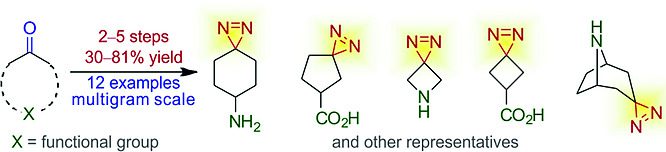 Multigram Synthesis of Functionalized Spirocyclic Diazirines
