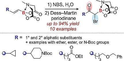 Aliphatic α-Boryl-α-bromoketones: Synthesis and Reactivity