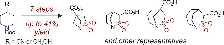 Synthesis of Functionalized Bridged Bicyclic Sulfonamides with a Bridgehead Nitrogen Atom
