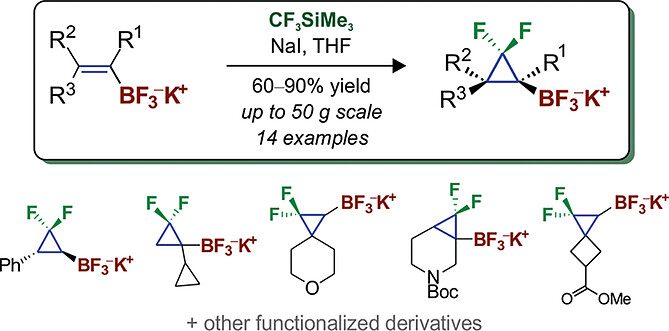 gem-Difluorocyclopropanation of Alkenyl Trifluoroborates with the CF3SiMe3–NaI System