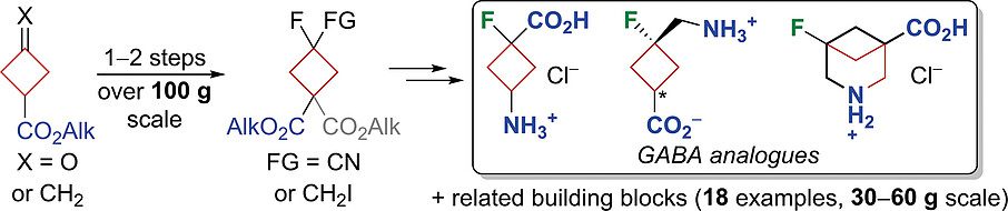 GABA Analogues and Related Mono-/Bifunctional Building Blocks Derived from the Fluorocyclobutane Scaffold