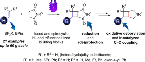 Photochemical [2 + 2] Cycloaddition of Alkenyl Boronic Derivatives: An Entry into 3-Azabicyclo[3.2.0]heptane Scaffold