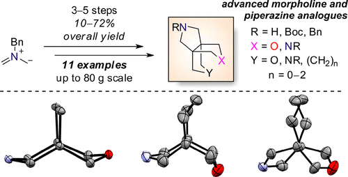 Far Away from Flatland. Synthesis and Molecular Structure of Dihetera[3.3.n]propellanes and Trihetera[3.3.n]propellanes: Advanced Analogues of Morpholine/Piperazine